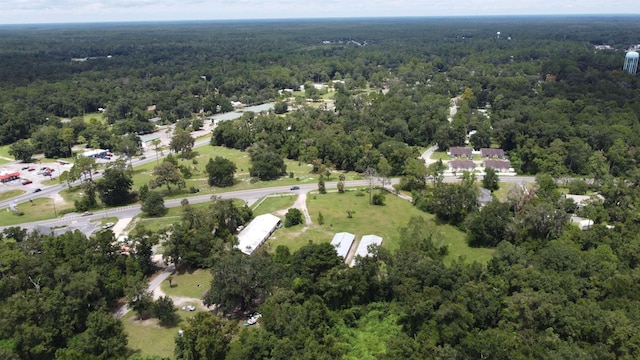 35 C L Townsend Ln, Crawfordville, FL 32327 - photo 19