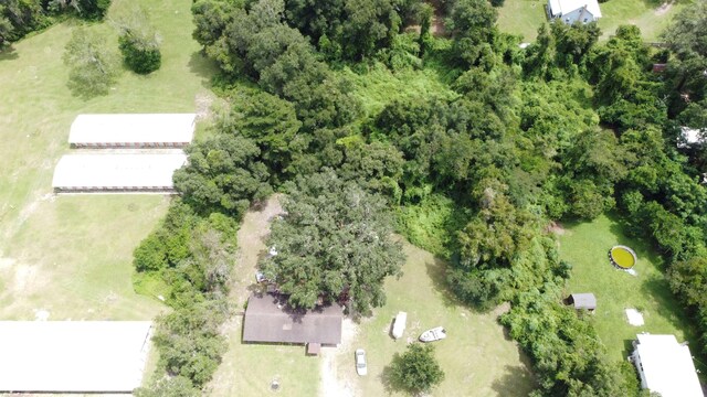 35 C L Townsend Ln, Crawfordville, FL 32327 - photo 17