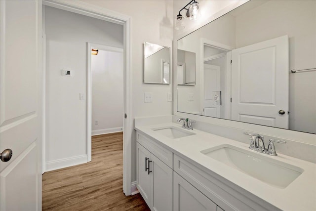 bathroom with vanity and wood-type flooring