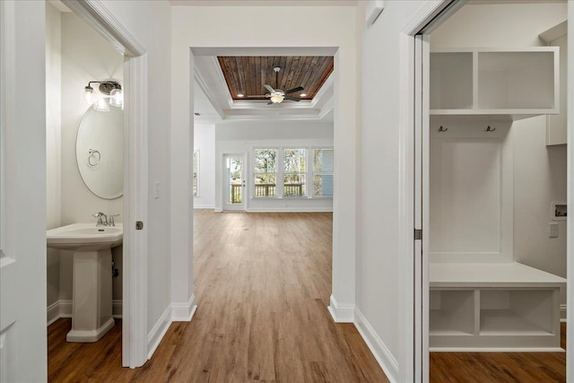 hall with a tray ceiling, sink, crown molding, and hardwood / wood-style floors