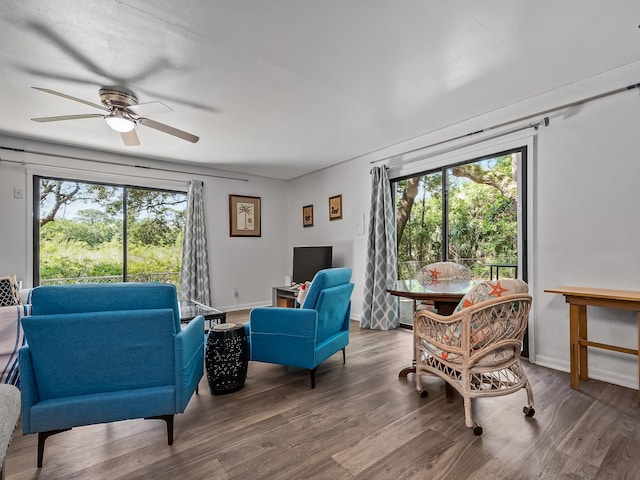 living room with plenty of natural light, ceiling fan, and wood-type flooring