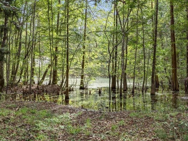 72 Tupelo Dr, Crawfordville, FL 32327 - photo 34