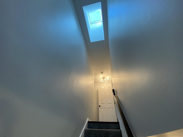 3306 Lemoyne Ct, Tallahassee, FL 32312 - photo 22