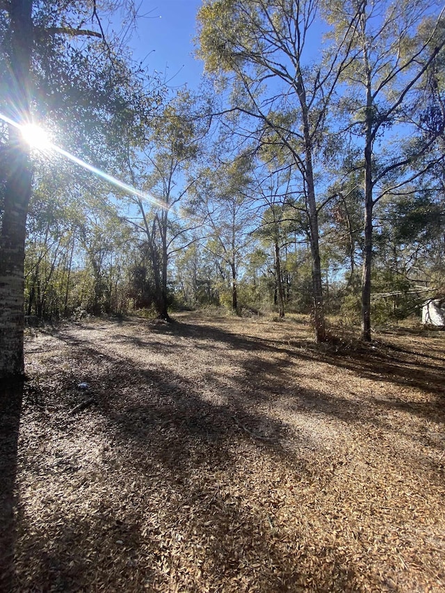 6380 Ira L Smith Rd, Greenville FL, 32331 land for sale