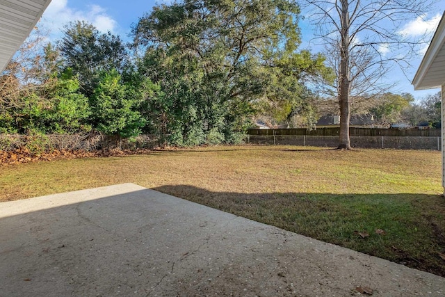 view of yard featuring a patio