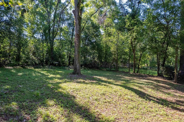 2311 Pontiac Dr, Tallahassee, FL 32301 - photo 29
