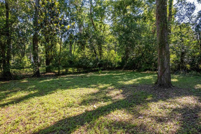 2311 Pontiac Dr, Tallahassee, FL 32301 - photo 28