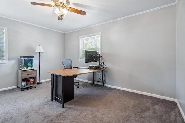 carpeted office space with baseboards, ceiling fan, and crown molding