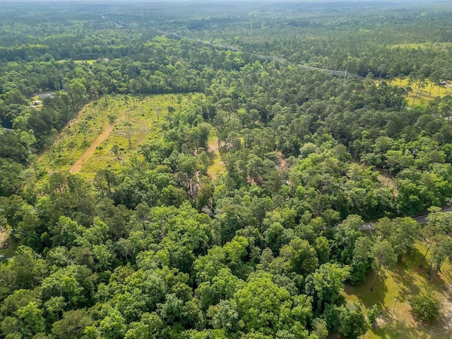 LOT33 Ben Stoutamire Rd, Tallahassee, FL 32310