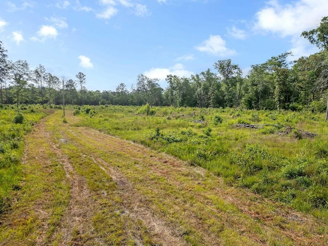 LOT33 Ben Stoutamire Rd, Tallahassee, FL 32310