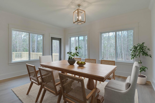 dining space with light hardwood / wood-style flooring and crown molding