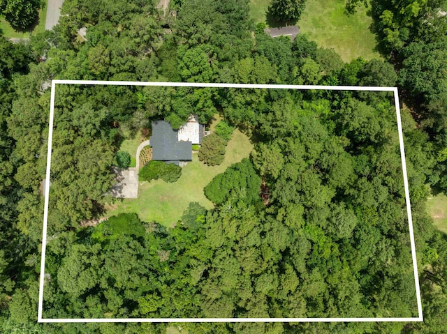 2560 Pine Ridge Rd, Tallahassee, FL 32308 - photo 50