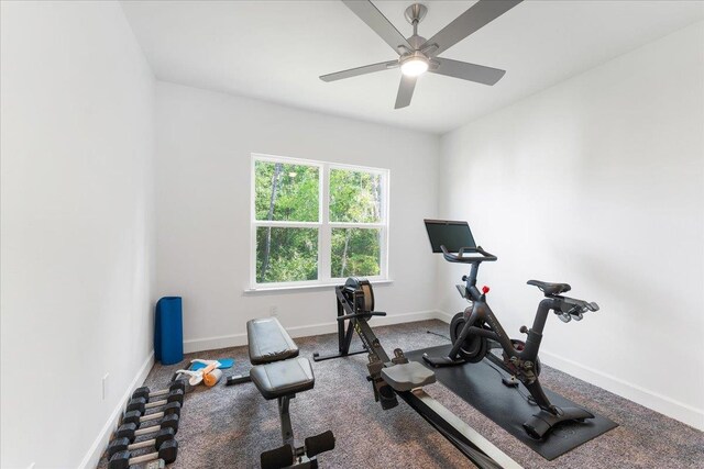 exercise area featuring ceiling fan and carpet