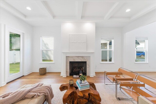 living room with a premium fireplace, beam ceiling, and light wood-type flooring