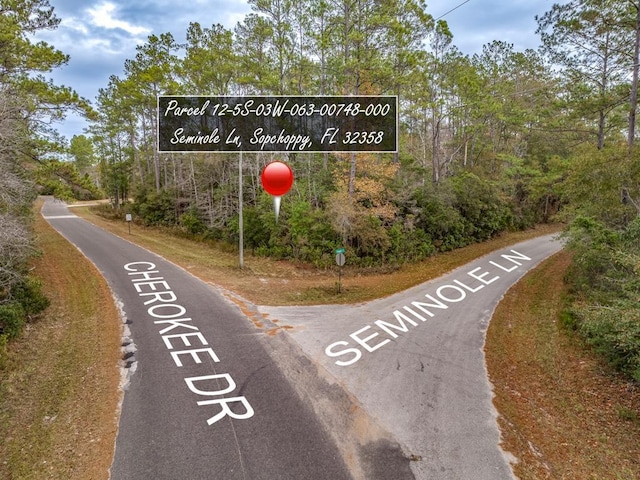 81 Cherokee Dr, Sopchoppy FL, 32358 land for sale