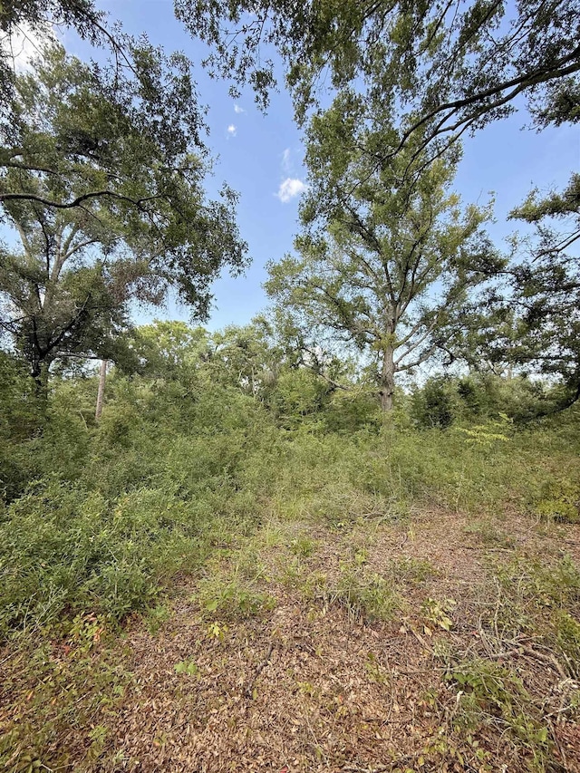 000 68th St, Live Oak, FL 32060
