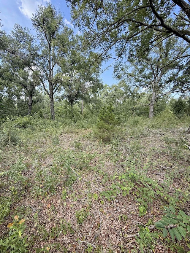 000 68th St, Live Oak, FL 32060