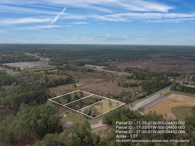 XX E Ivan Rd, Crawfordville FL, 32327 land for sale