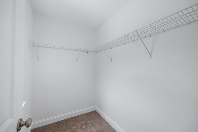 487 Grand Oaks Rd, Tallahassee, FL 32317 - photo 28