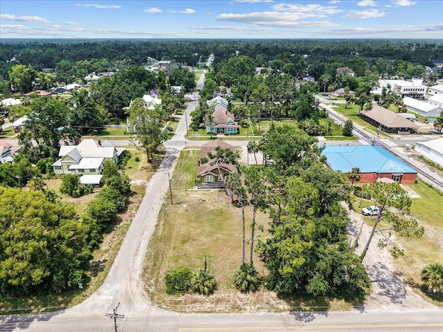 315 W Green St, Perry, FL 32347 - aerial perspective of suburban area