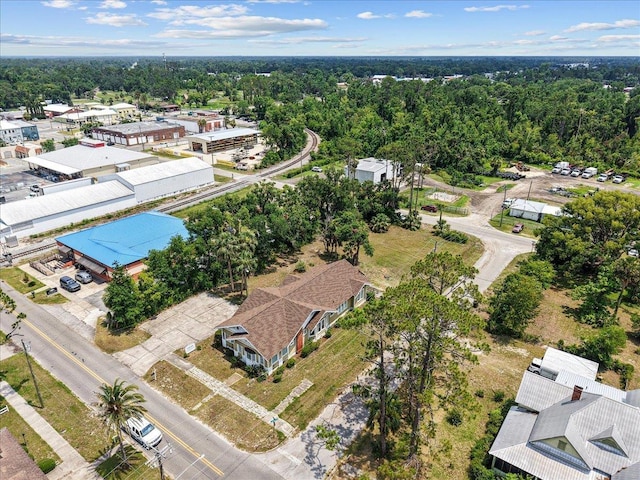 315 W Green St, Perry, FL 32347 - aerial view