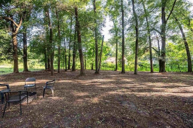 5798 Japonica Ct, Tallahassee, FL 32303 - photo 46