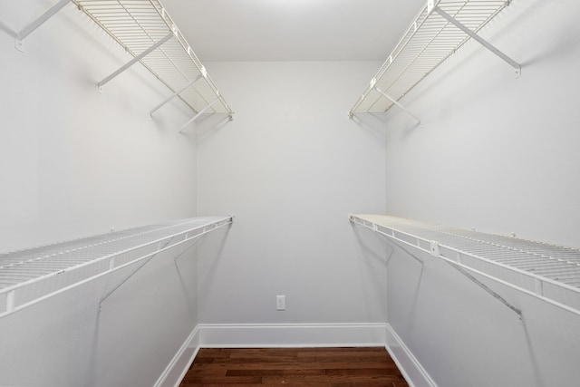 walk in closet featuring wood finished floors