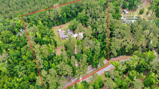 459 Oakwood Trl, Crawfordville, FL 32327 - aerial view of property and surrounding area with property boundaries highlighted and a heavily wooded area