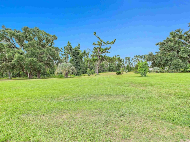 4079 N Lyman Hendry Rd, Perry, FL 32347 - photo 22