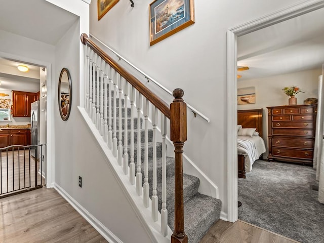 stairway with hardwood / wood-style floors