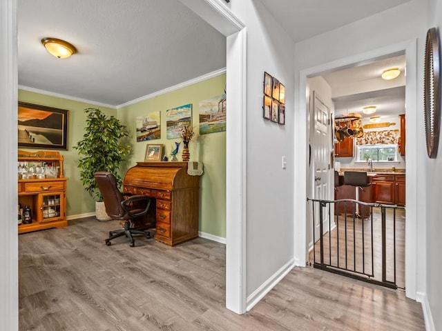 office space with crown molding and light wood-type flooring