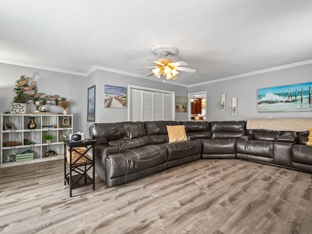 living room with ceiling fan, ornamental molding, and light wood-type flooring