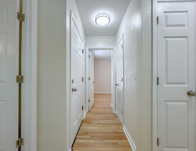 804 Medical Commons Ct, Tallahassee, FL 32310 - hallway with light wood-style flooring and baseboards