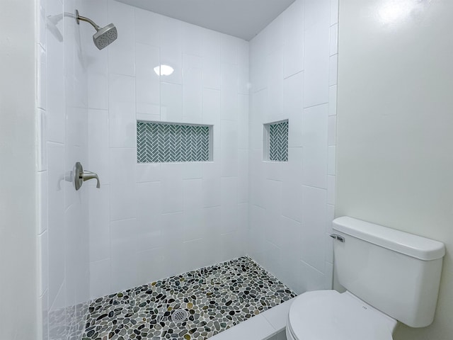 804 Medical Commons Ct, Tallahassee, FL 32310 - full bathroom featuring toilet and tiled shower