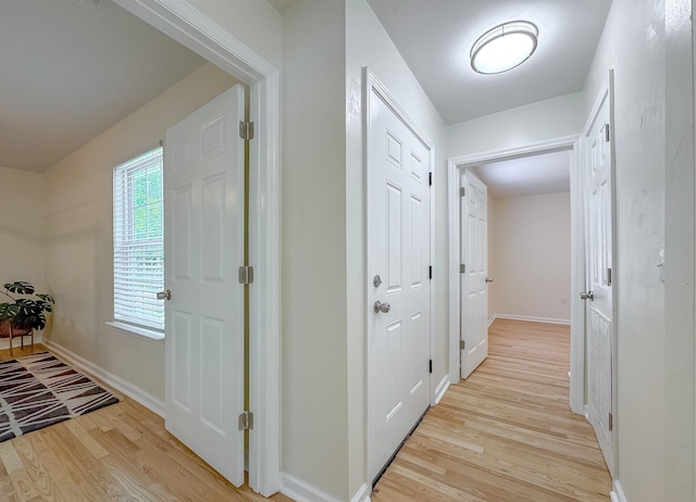 804 Medical Commons Ct, Tallahassee, FL 32310 - hallway featuring baseboards and light wood-style flooring