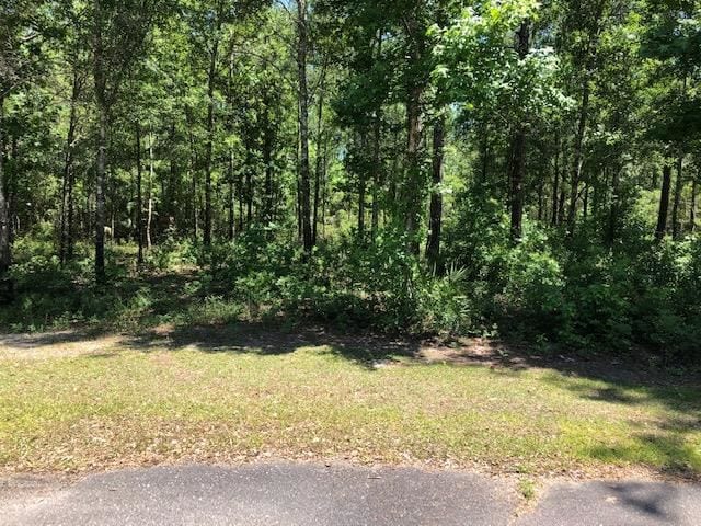 Listing photo 2 for LOT22 Burnt Pine Loop, Saint Marks FL 32355