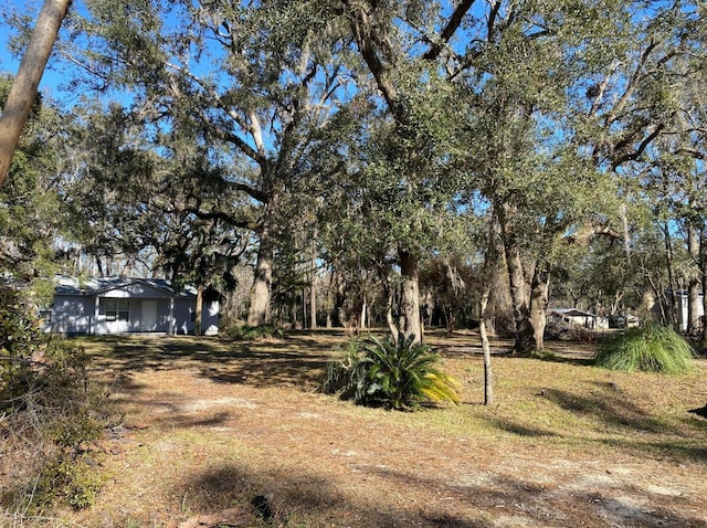 4350 Fortner Cir, Perry, FL 32347 - view of yard