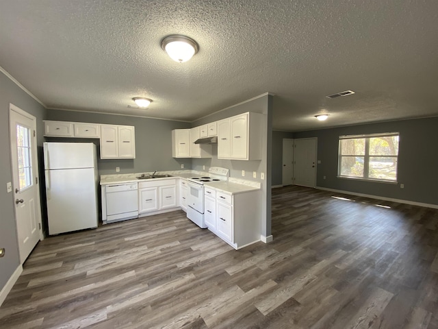 4350 Fortner Cir, Perry, FL 32347 - kitchen featuring white appliances, dark wood-style flooring, a textured ceiling, open floor plan, and ornamental molding