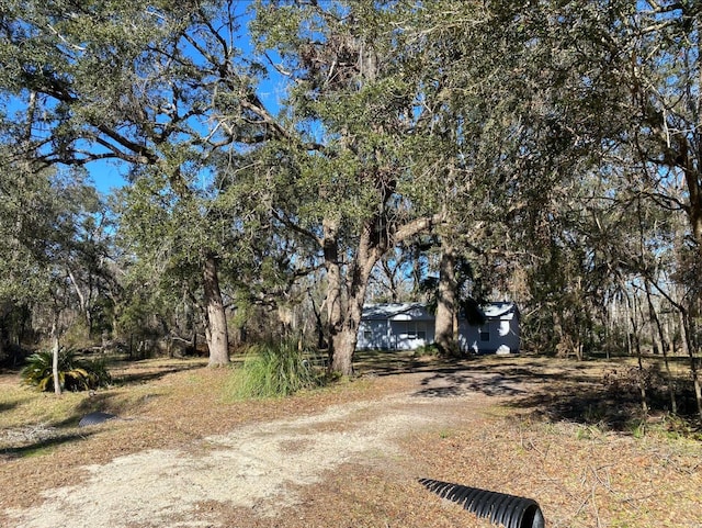 4350 Fortner Cir, Perry, FL 32347 - view of yard
