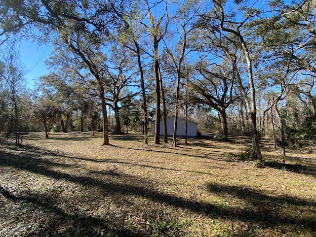 4350 Fortner Cir, Perry, FL 32347 - view of yard with an outdoor structure