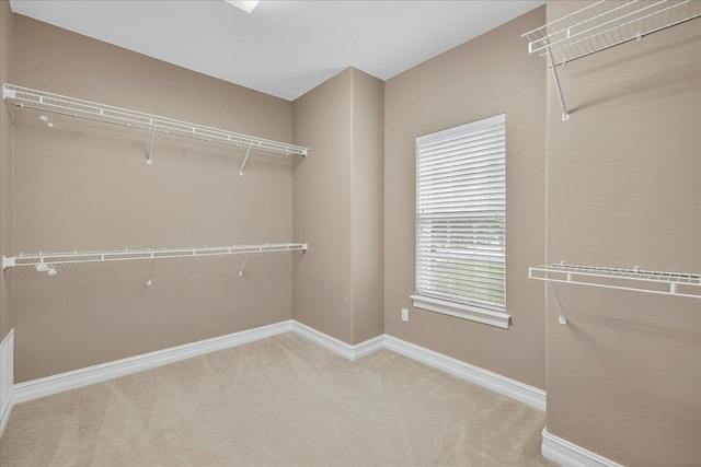 5127 Wild Rose Way, Tallahassee, FL 32312 - spacious closet with carpet flooring