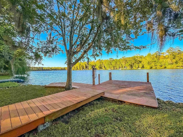 view of dock featuring a water view