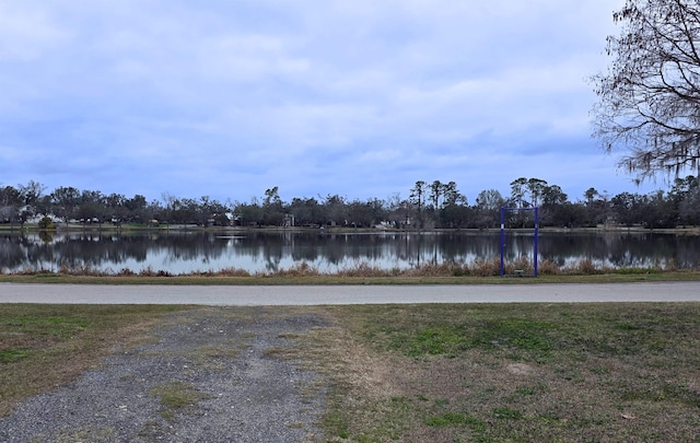 715 SE Lakeshore Dr, Madison, FL 32340 - photo 30