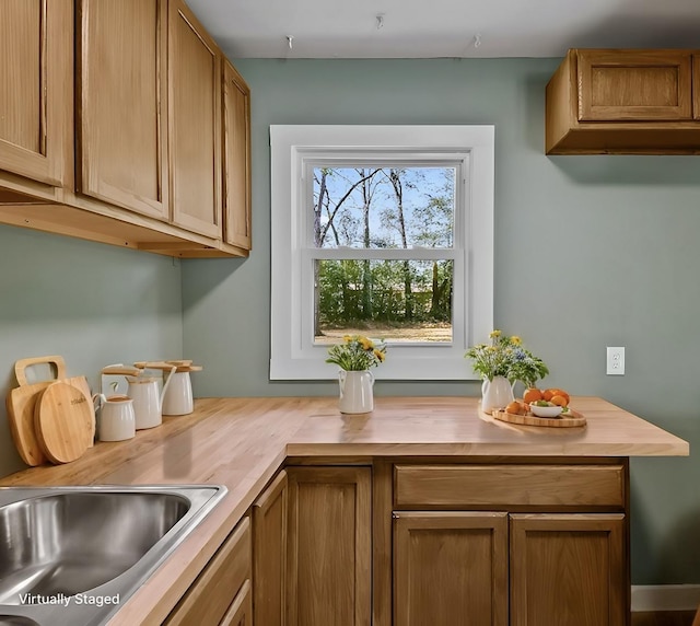 kitchen with sink and wood counters