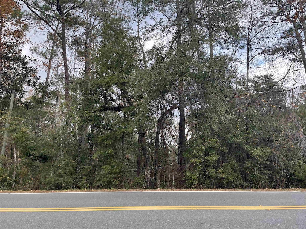 XX Lawhon Mill Rd, Crawfordville, FL 32327 - photo 4
