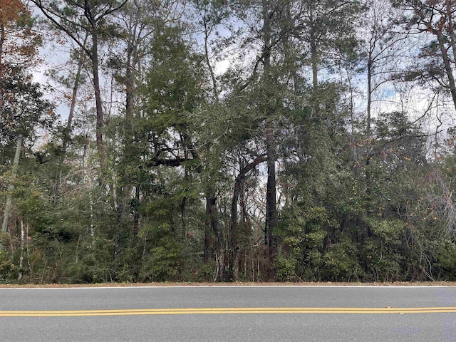 XX Lawhon Mill Rd, Crawfordville, FL 32327 - photo 4