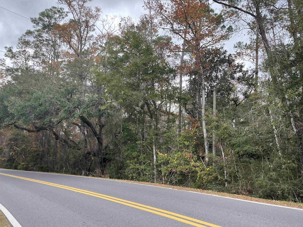 XX Lawhon Mill Rd, Crawfordville, FL 32327 - photo 3