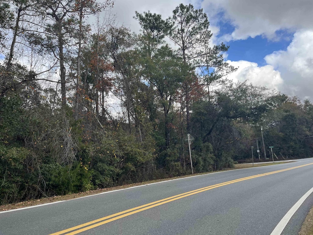 XX Lawhon Mill Rd, Crawfordville, FL 32327 - photo 2
