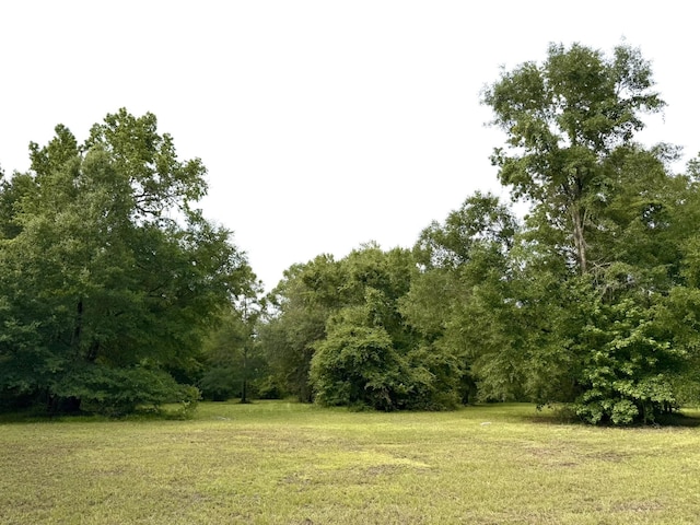 415 Hunters Trce, Crawfordville, FL 32327 - view of grassy yard