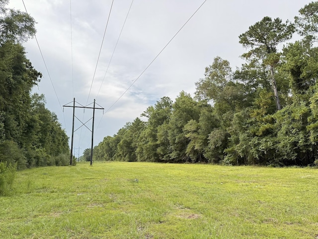 415 Hunters Trce, Crawfordville, FL 32327 - view of green lawn featuring a forest view